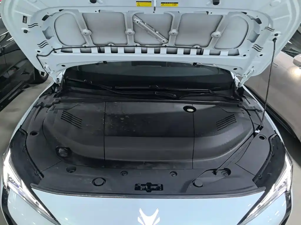 Фото 20 - ARCFOX Alpha S5