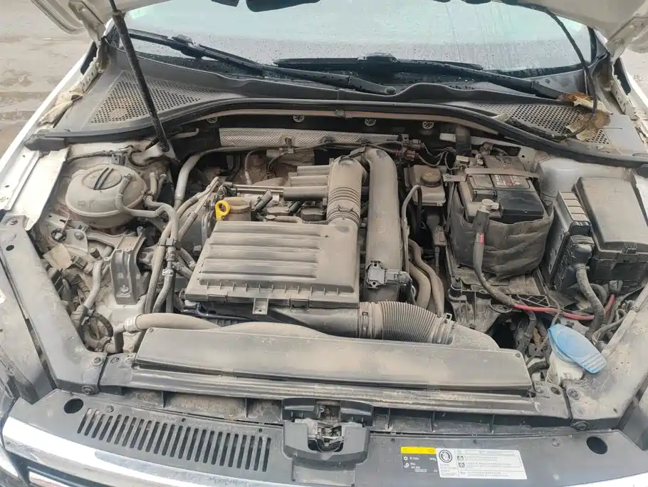 صورة 10 - Volkswagen Lamando