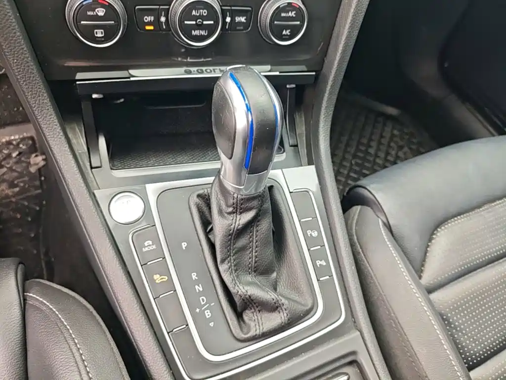 Volkswagen Golf New Energy(Imported) 2020 2018 e-Golf