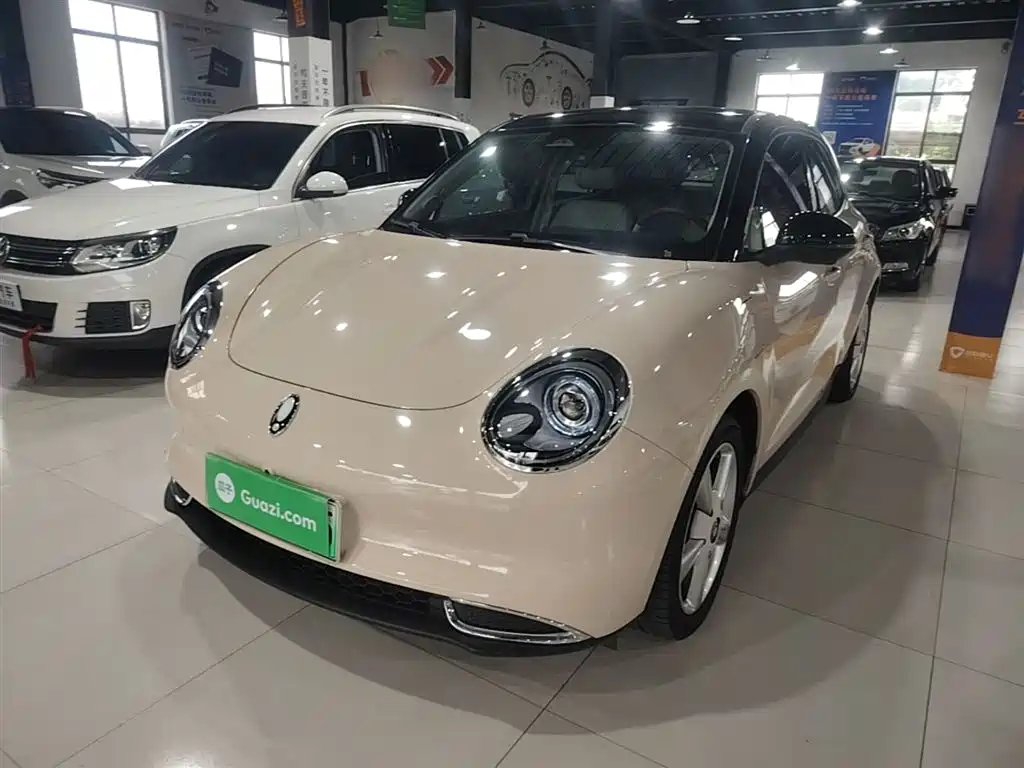 Ora Good Cat 2024 401km Comfort