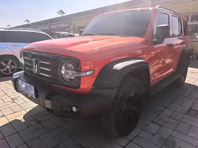 Tank 300