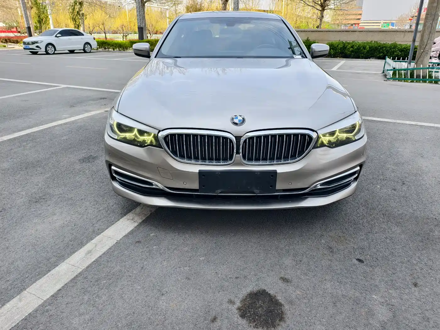 BMW 5 Series 2019 525Li Luxury Package фото 2