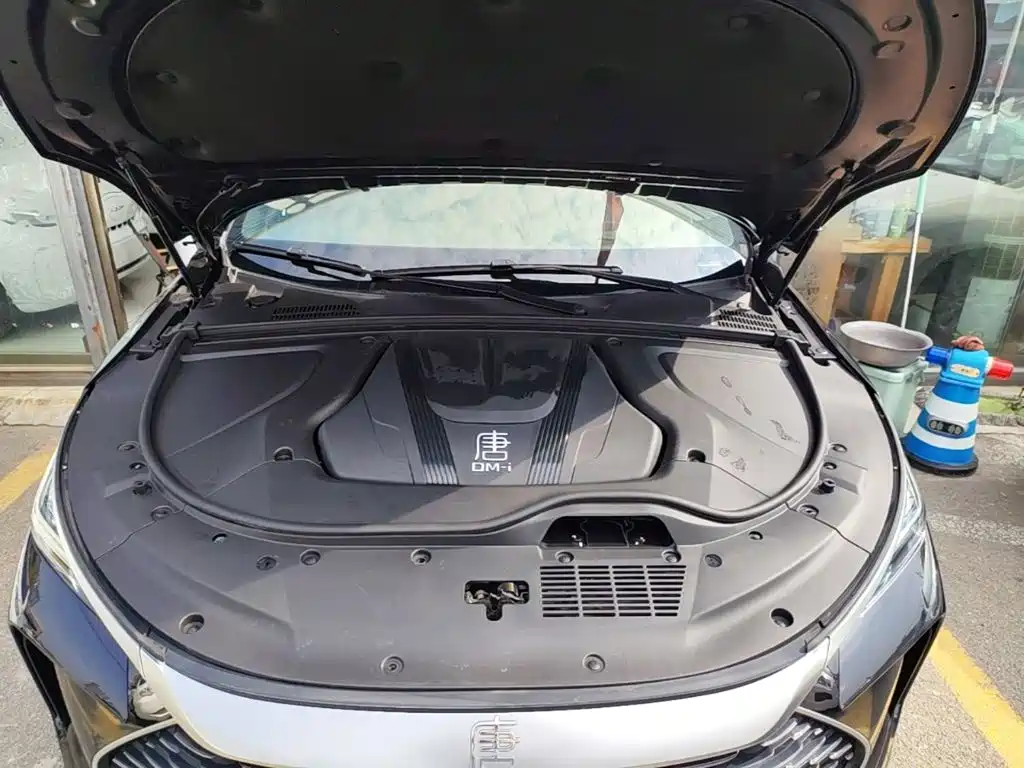 BYD Tang New Energy 2024 2024 Model DM-i Glory Edition 112KM Flagship Type