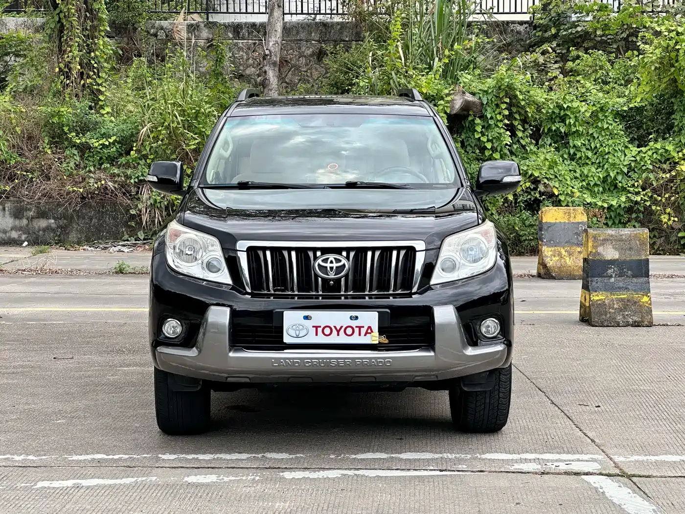 Toyota Prado (Import) 2010 2.7L Automatic Standard фото 2