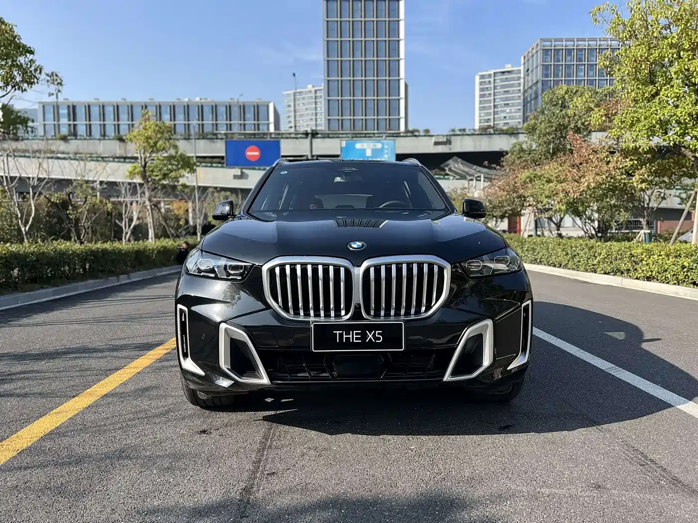 BMW X5 2025 Model xDrive 40Li M Sport Blackout Package фото 2