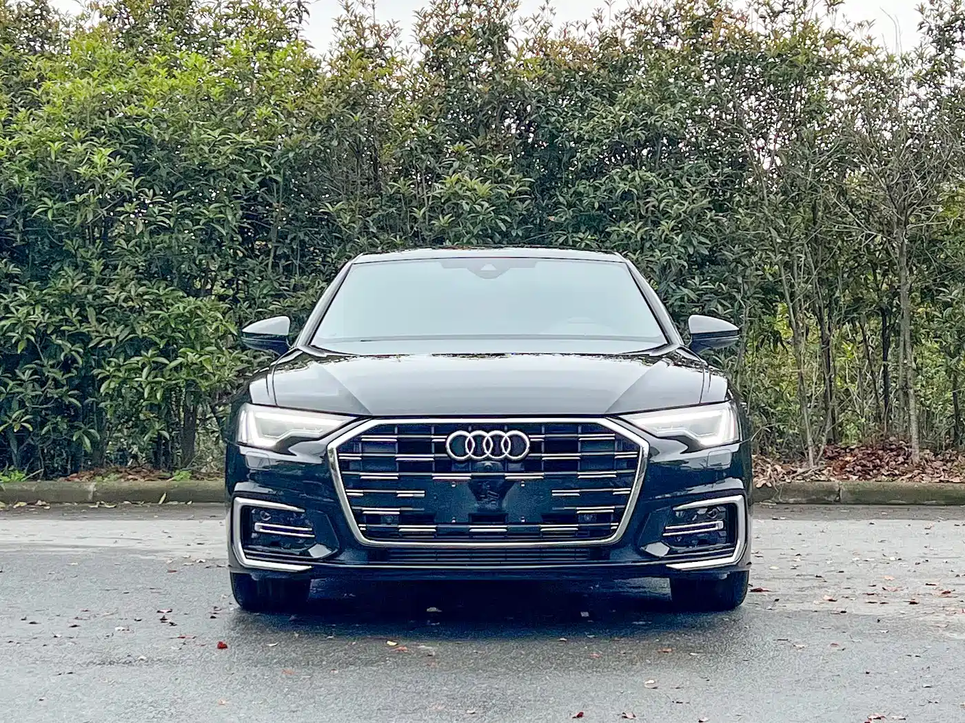 Audi A6L 2024 45 TFSI Premium Dynamic фото 2