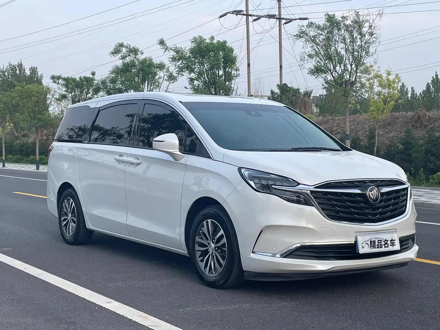 Buick GL8 2022 ES Landmark 653T Premium фото 3