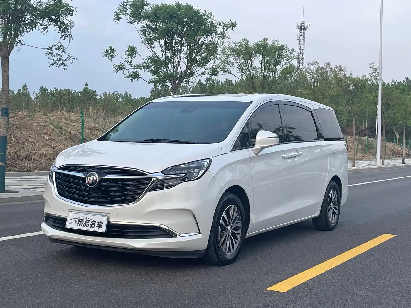 Buick GL8 2022 ES Landmark 653T Premium
