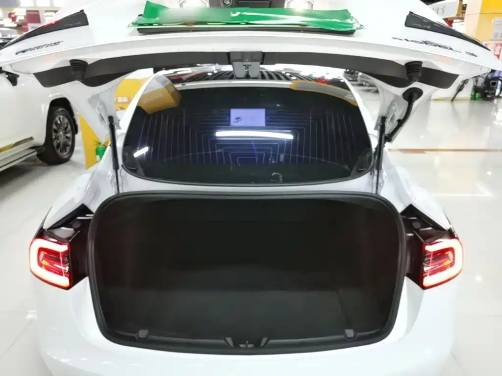 Tesla Model 3 2020 2020 Standard Range Rear-Wheel Drive Upgrade