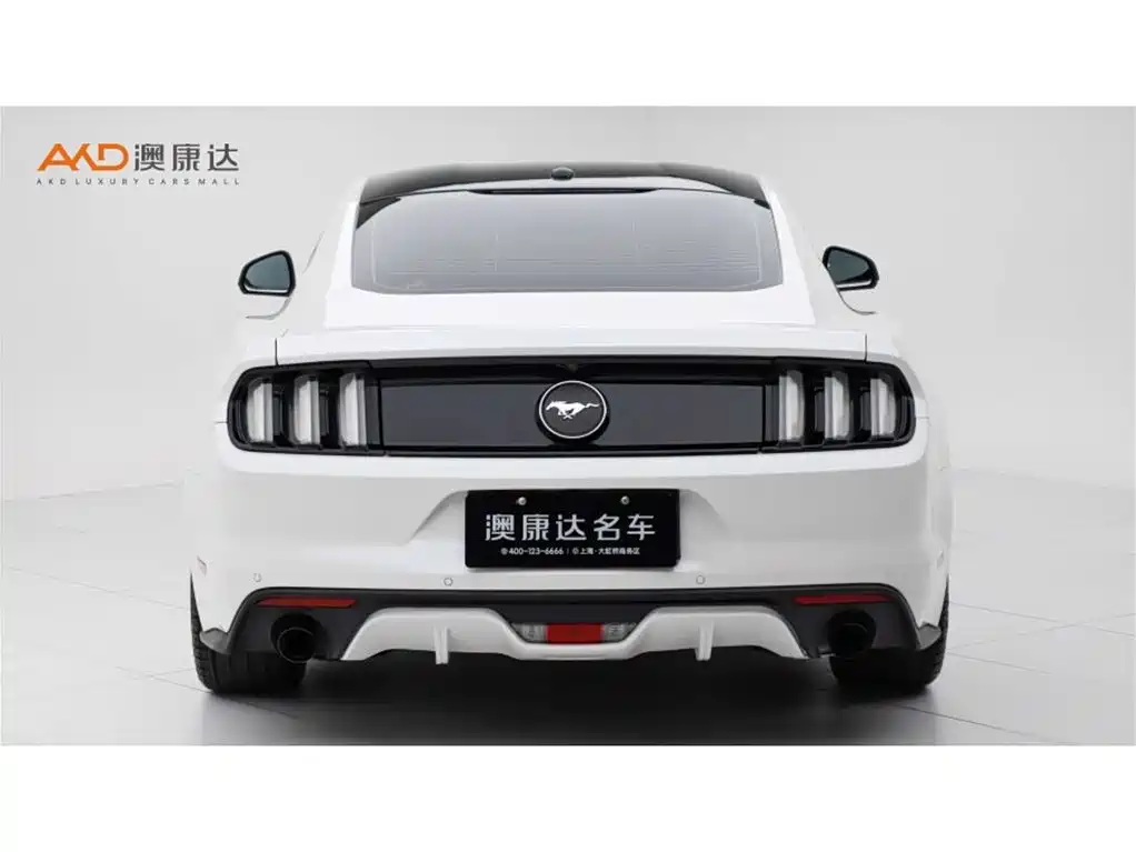 Ford Mustang 2016 2017 2.3T Performance Edition