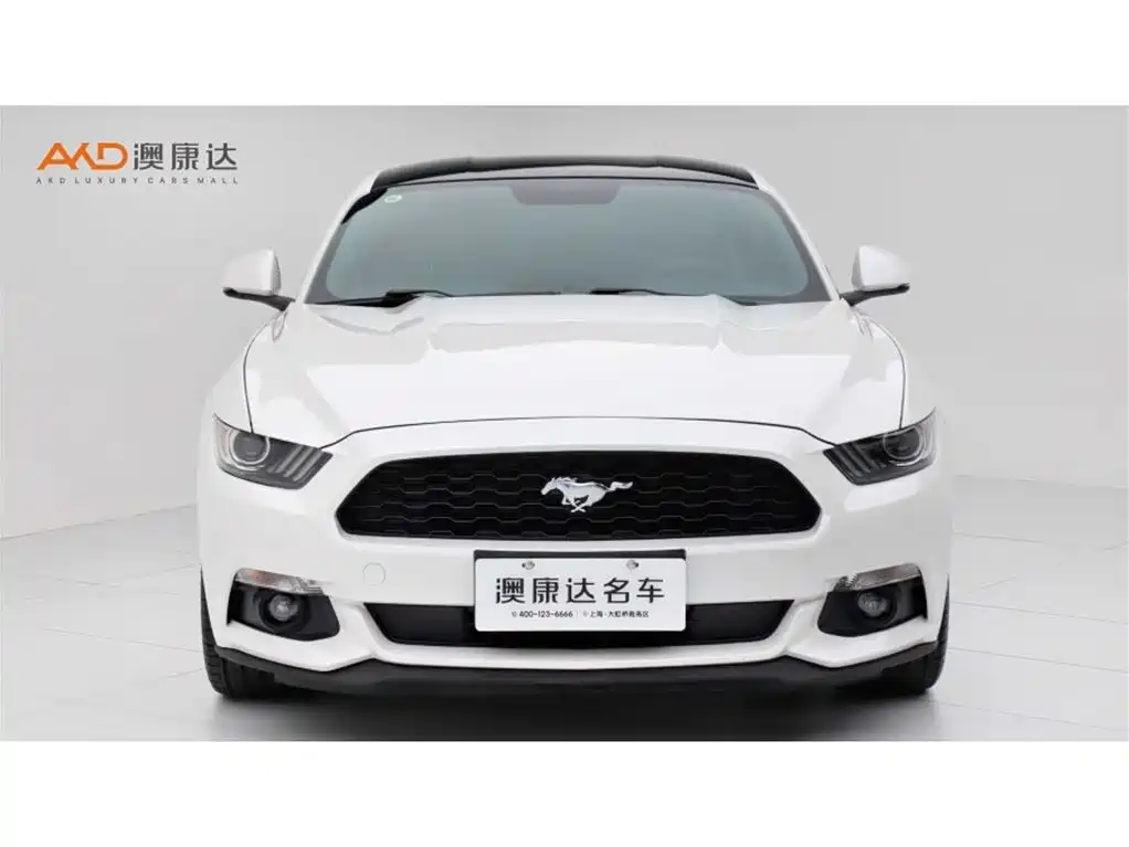 Ford Mustang 2016 2017 2.3T Performance Edition