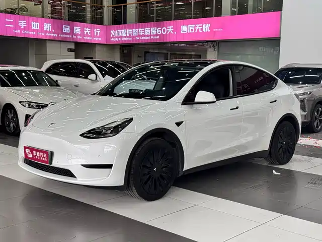 Tesla Model Y 2023 Rear-Wheel Drive Edition — фото 1