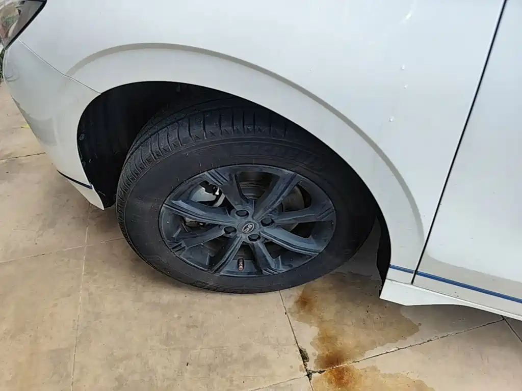 BYD e2 2021 2021 Luxury Edition
