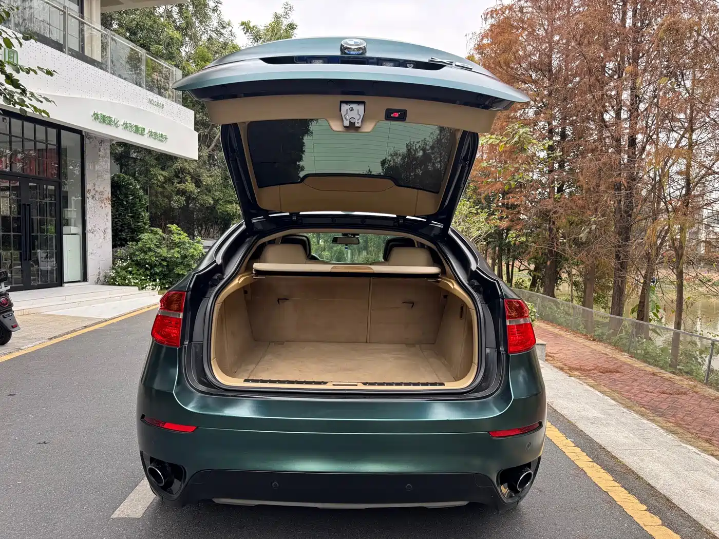 BMW X6 2011 2011 xDrive35i