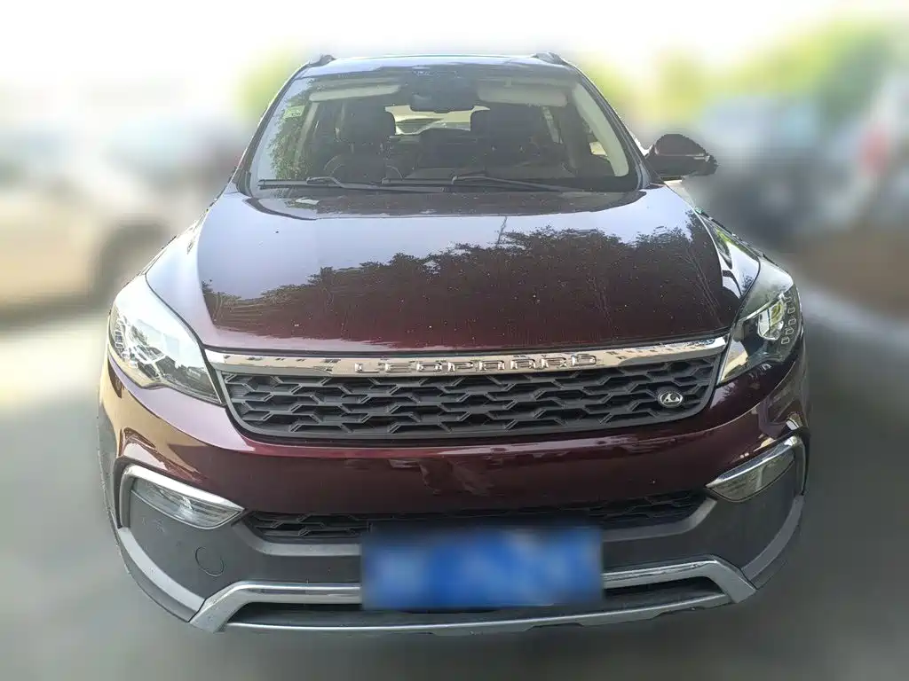 Photo 2 - Leopaard CS10