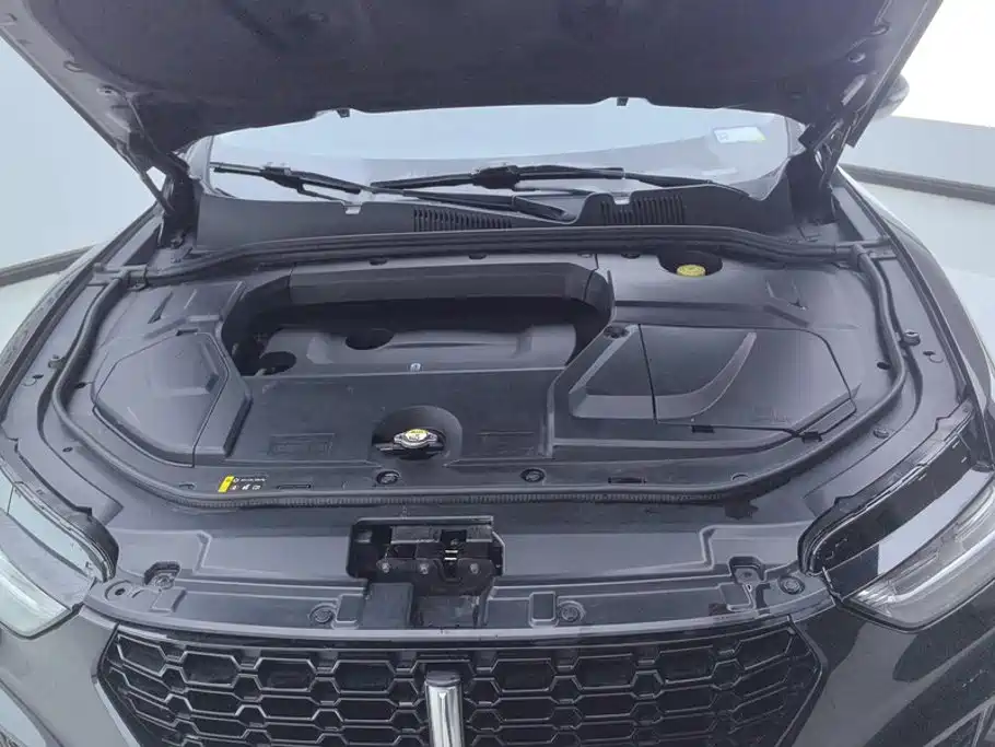 WEY VV5 2017 2017 2.0T Super Luxury Model