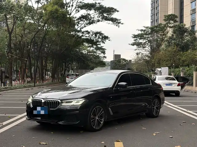 BMW 5 SERIES