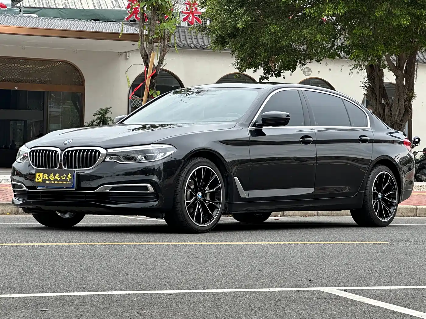 BMW 5 Series 2020 530Li Leading M Sport Package