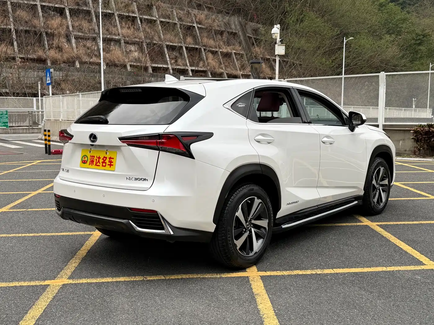 LEXUS NX