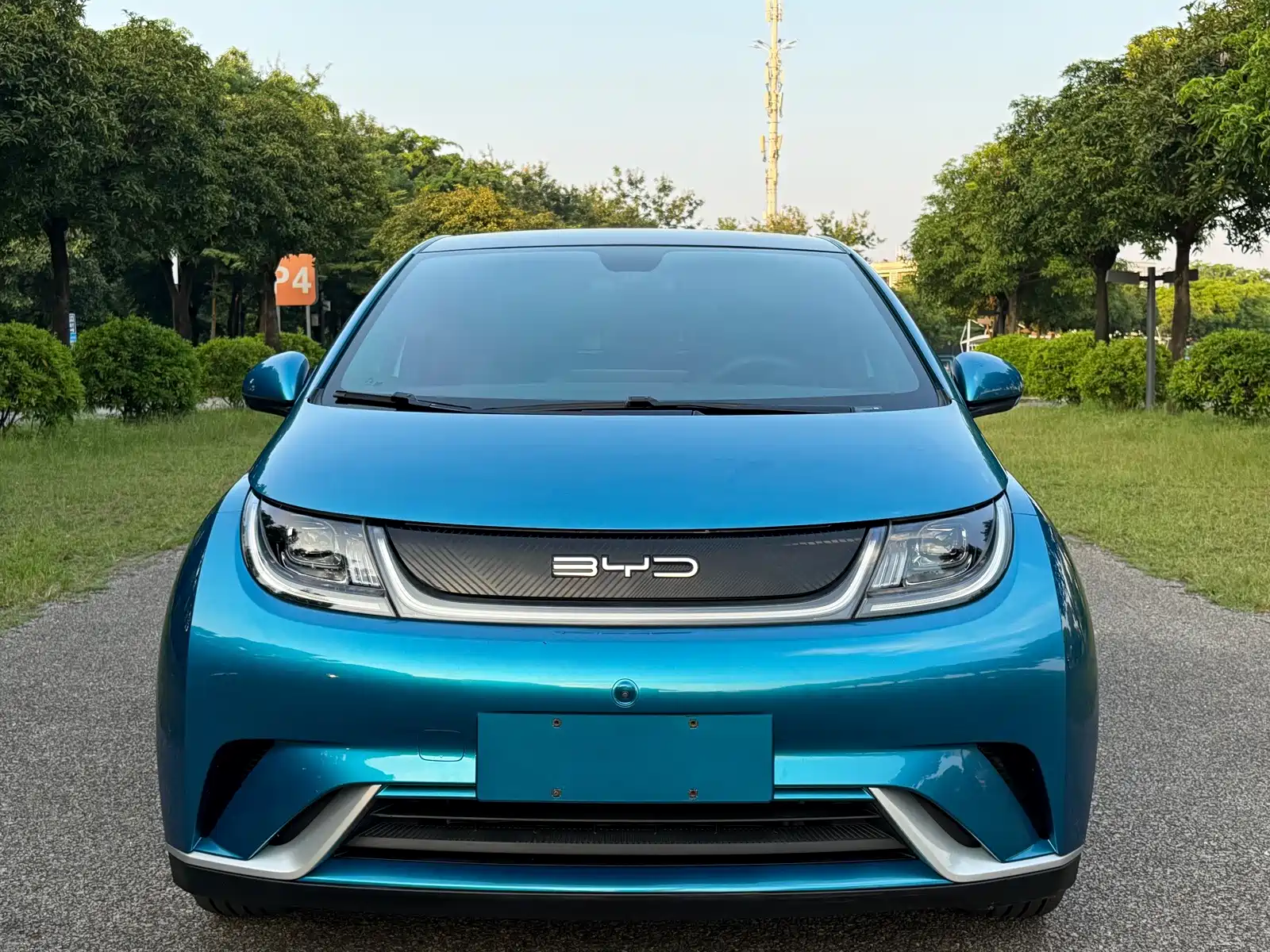 Фото 2 - BYD Dolphin
