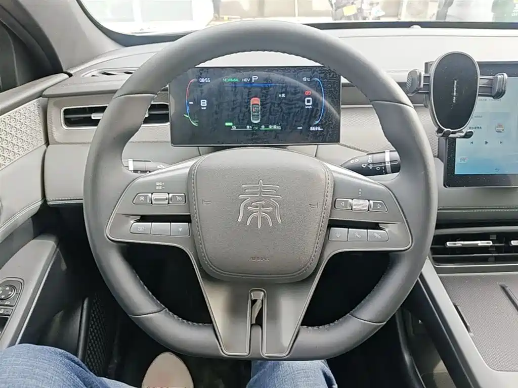 BYD Qin PLUS 2025 DM-i Smart Drive 55KM Leader фото 11