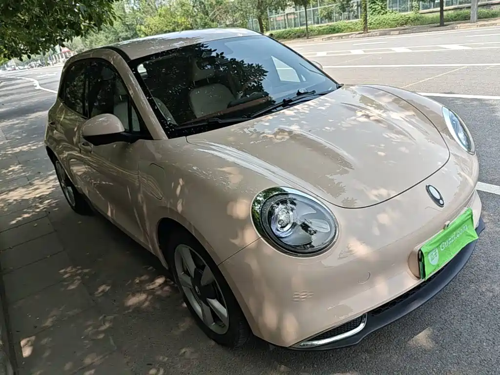 Ora Good Cat 2024 2023 401km Standard Range Luxury LFP