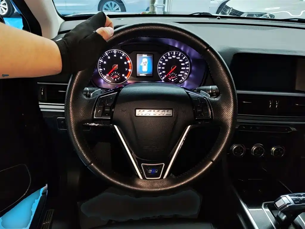 Haval H6 2018 Blue Label Sport 1.5T Automatic 2WD Elite фото 11