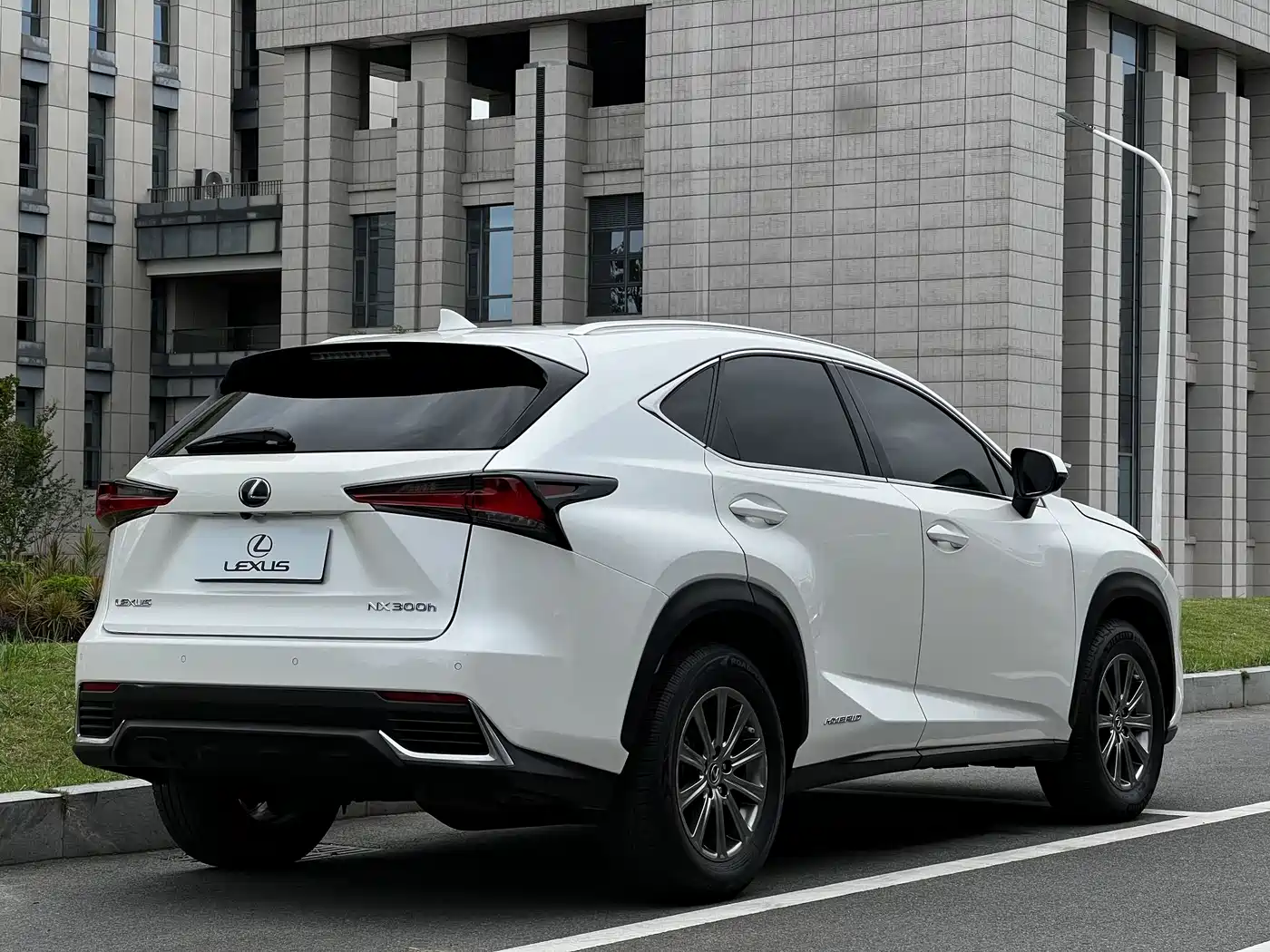 Lexus NX 2020 300h FWD F Sport China V фото 4