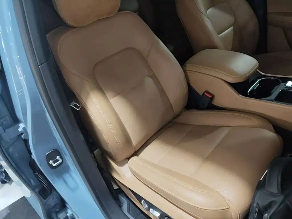 Фото 20 - Li Auto Li ONE