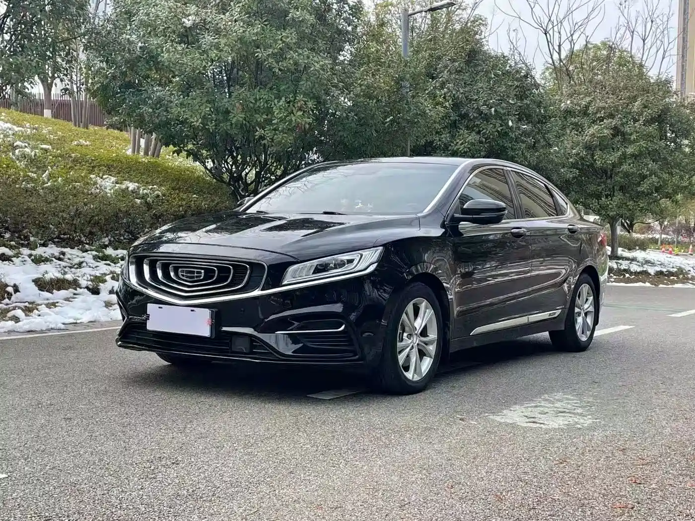 Фото 2 - Geely Borui