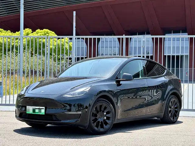 Tesla Model Y Увеличенный запас хода, полный привод, 3D7