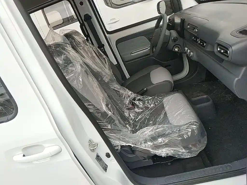 Wuling Motors Wuling Zhiguang NEV 2026 2025 Model 305km Base Version