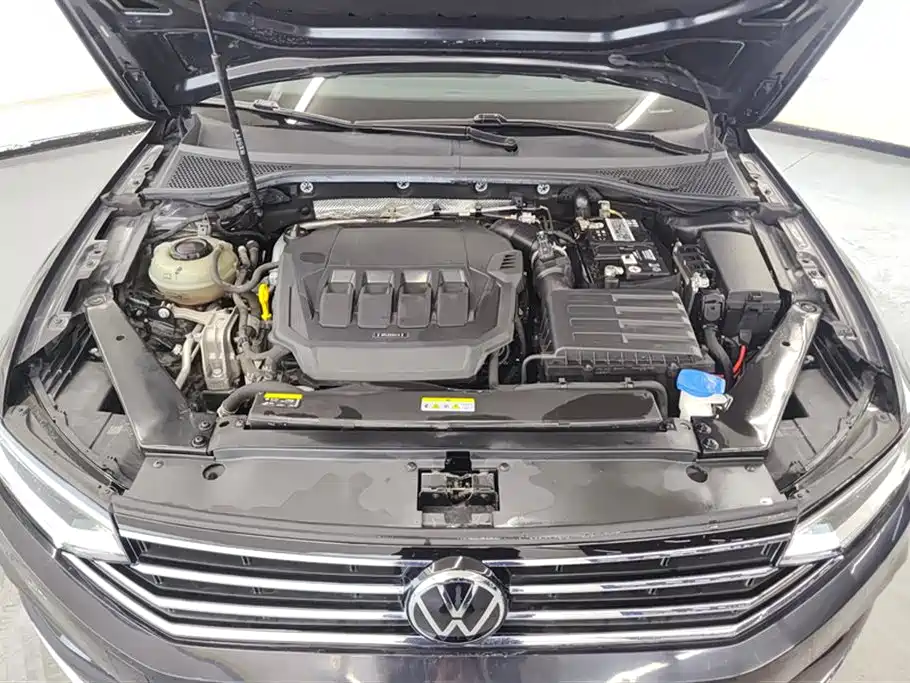 Volkswagen Magotan 2020 330TSI DSG Luxury фото 10