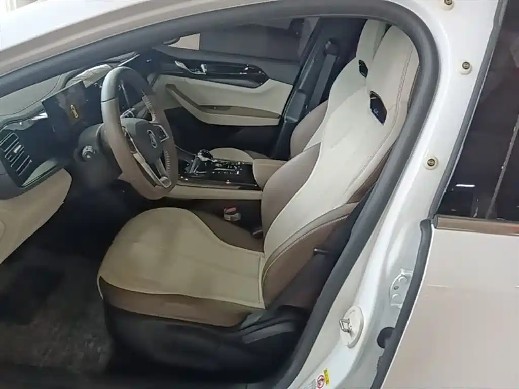 BYD Qin PLUS 2024 Glory Edition DM-i 55KM Leading фото 15