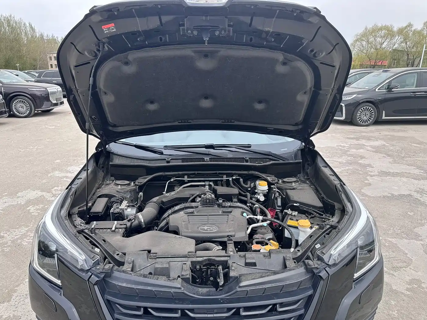 Subaru Forester 2022 2.0i AWD Luxury Edition with EyeSight фото 10