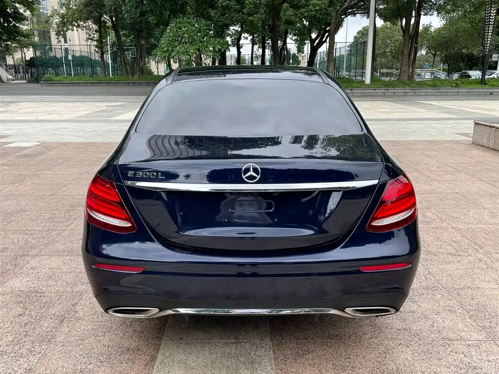 Mercedes-Benz E-Class 2018 Facelift E 300 L Sport Fashion фото 6