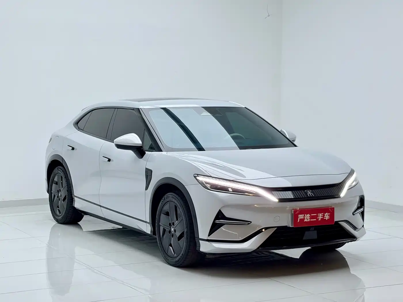 BYD Song L EV 2024 2024 550km Surpassing Type