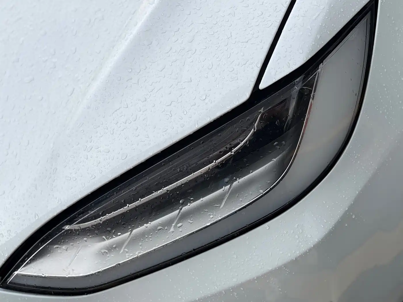 Фото 19 - Tesla Model X