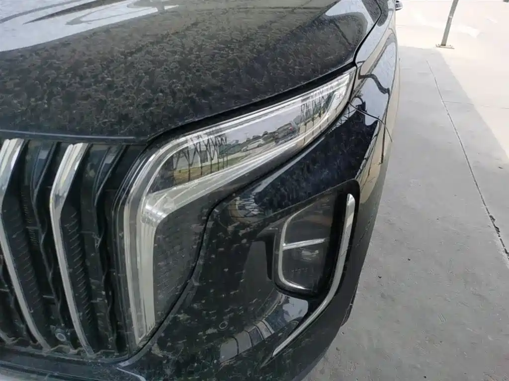 Hongqi HS7 PHEV 2024 2024 2.0T PHEV 4WD Flagship Edition 6-seater