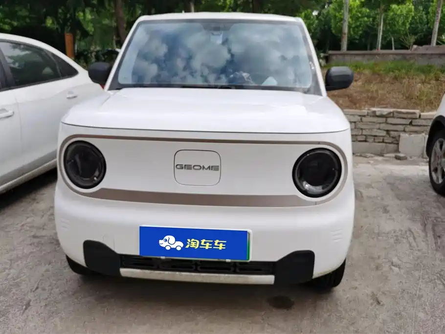 Geely Galaxy Panda 2023 Panda Mini 200km Endurance Bear фото 2
