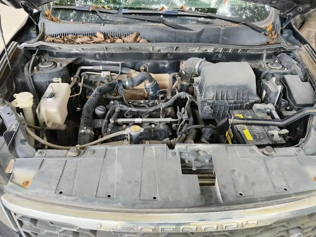 Leopaard CS10 2017 2017 1.5T CVT Prestige