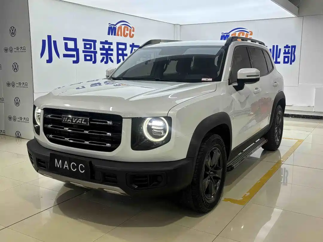 HAVAL BIG DOG