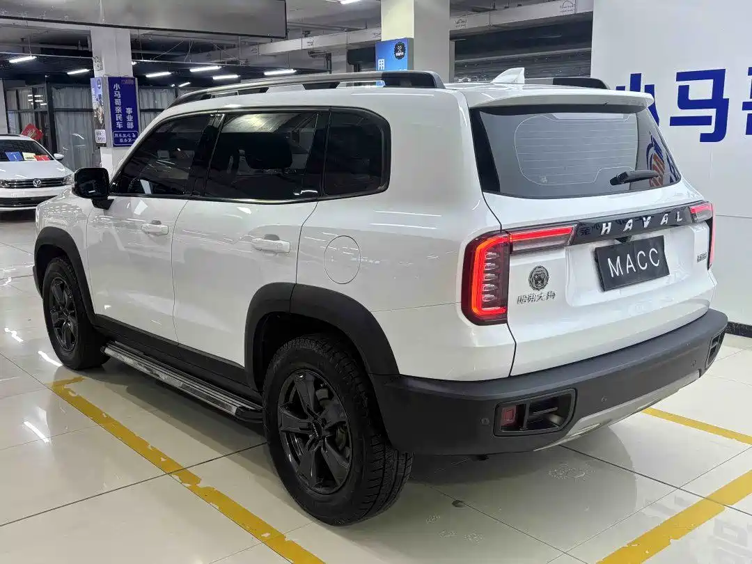 HAVAL BIG DOG