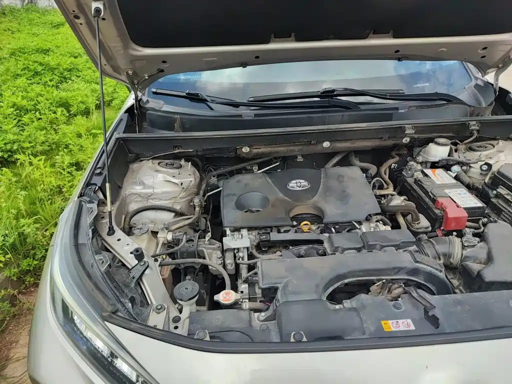 Toyota Wildlander 2020 2020 2.0L CVT AWD Luxury Edition