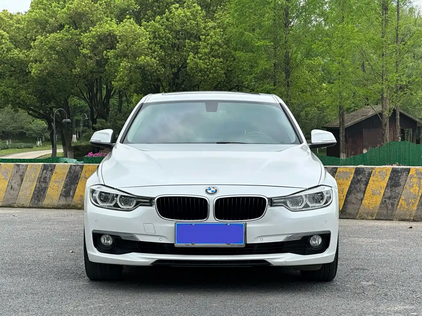 BMW 3 Series 2017 320Li Fashion фото 2