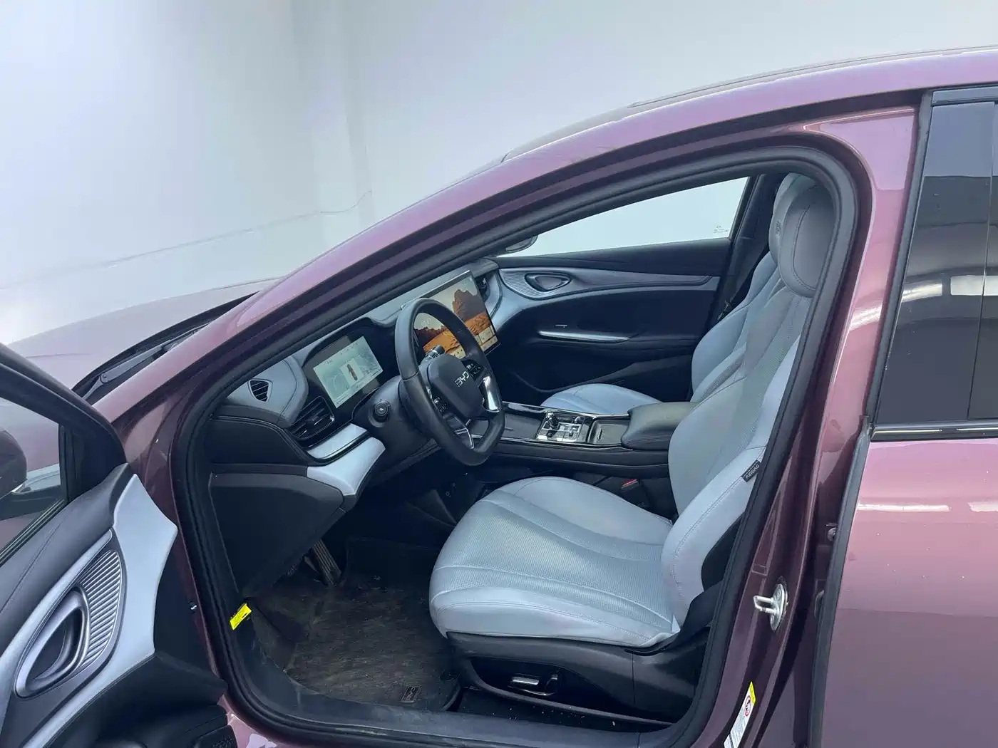 BYD Seal 2024 Glory Edition DM-i 1.5L 121km Luxury фото 4