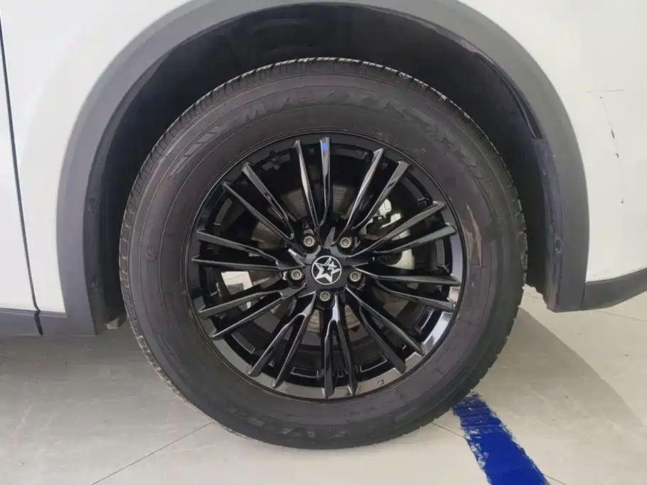 Venucia Big V 2023 2022 260T Dark Horse Edition·Idol