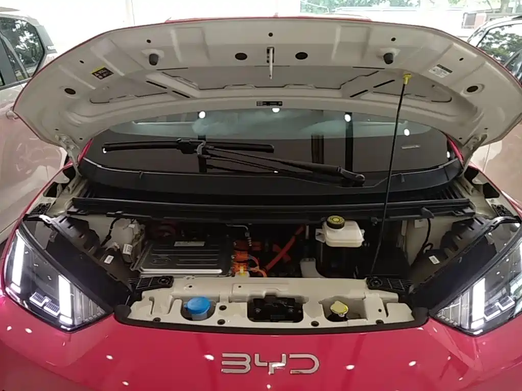 BYD Seagull 2025 Smart Drive Edition 305km Freedom Version фото 20
