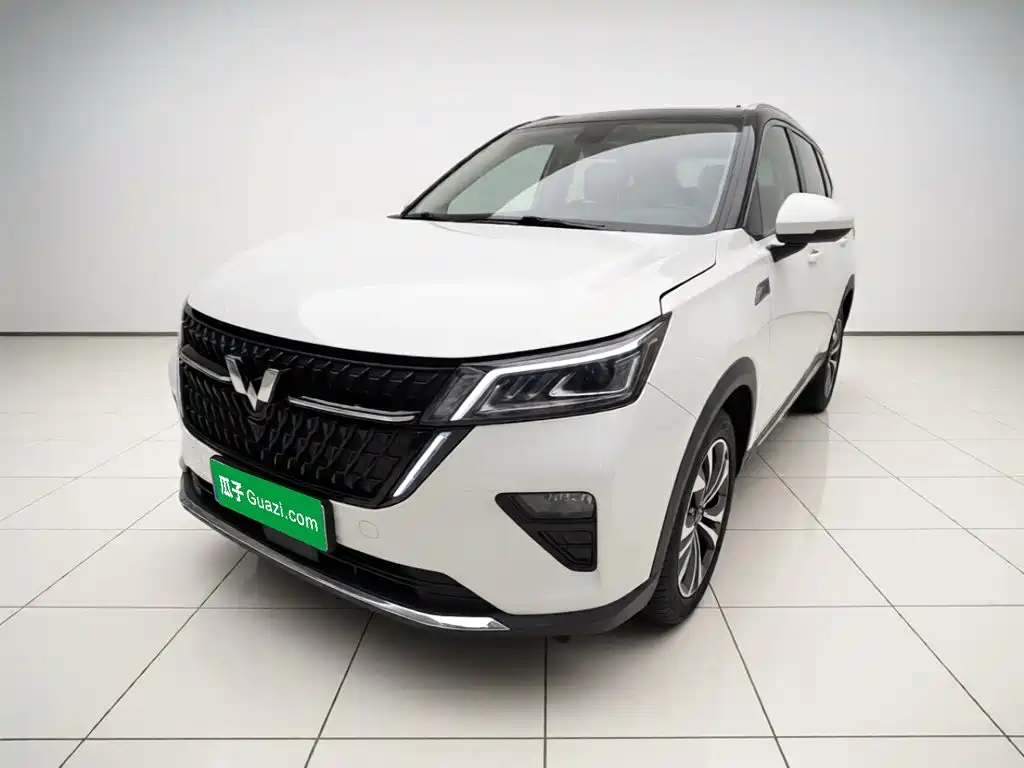 Wuling Motors Wuling Xingchen 2023 2022 2.0L DHT Electric Speed Edition