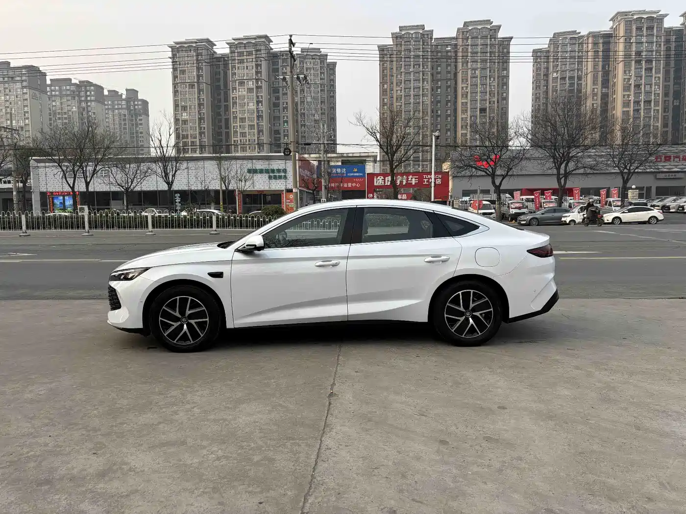BYD QIN L